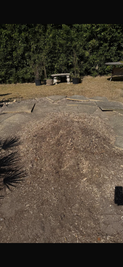 After stump grinding