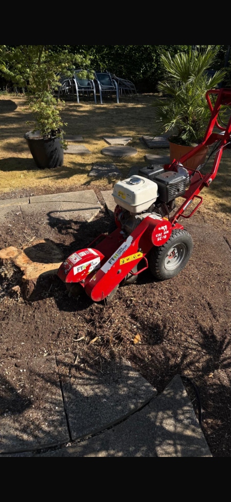 Before stump grinding